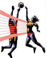 کارآموزی والیبال
