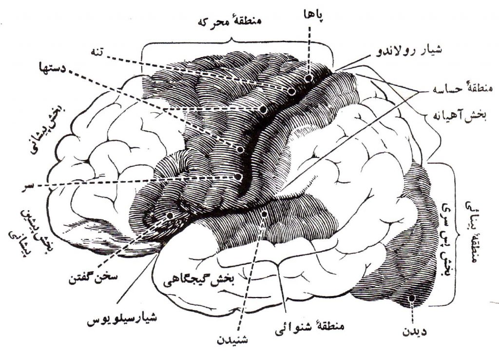 اعصاب 2